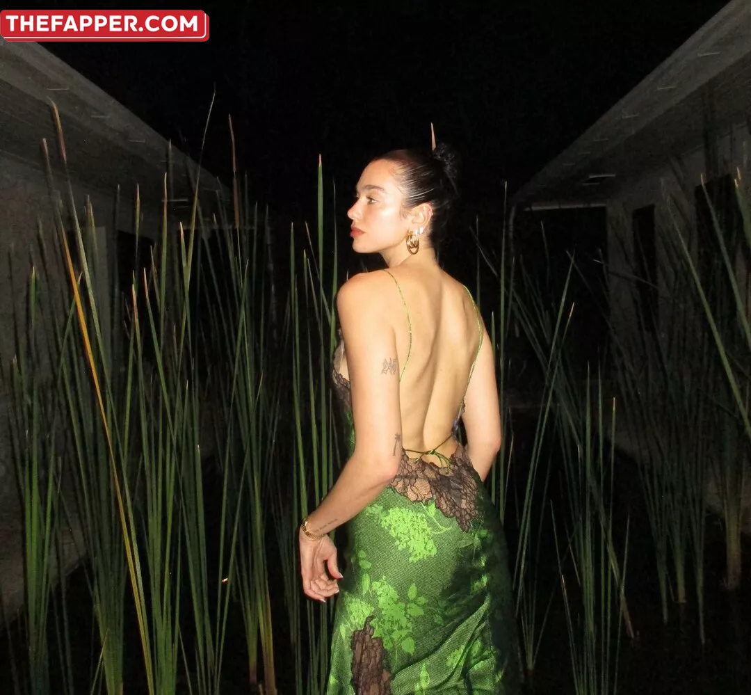 Dua Lipa  Onlyfans Leaked Nude Image #vT3IQ1CuYD