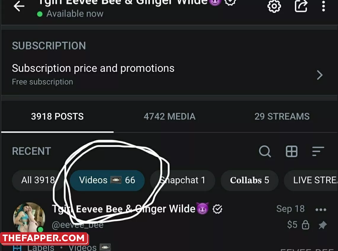 Eevee Bee  Onlyfans Leaked Nude Image #kWDV8tnKbh