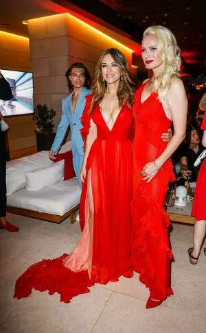 Elizabeth Hurley Onlyfans Leaked Nude Image #AZZBFucVHX
