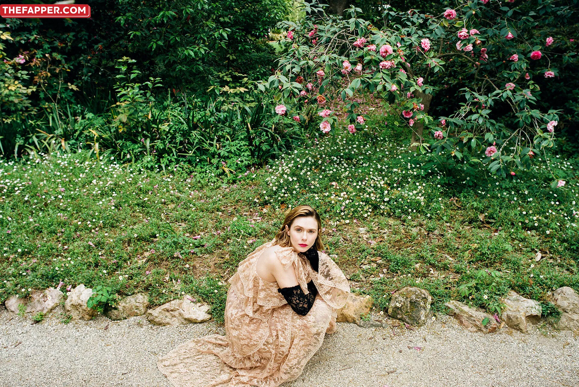 Elizabeth Olsen  Onlyfans Leaked Nude Image #11fsO5N50A