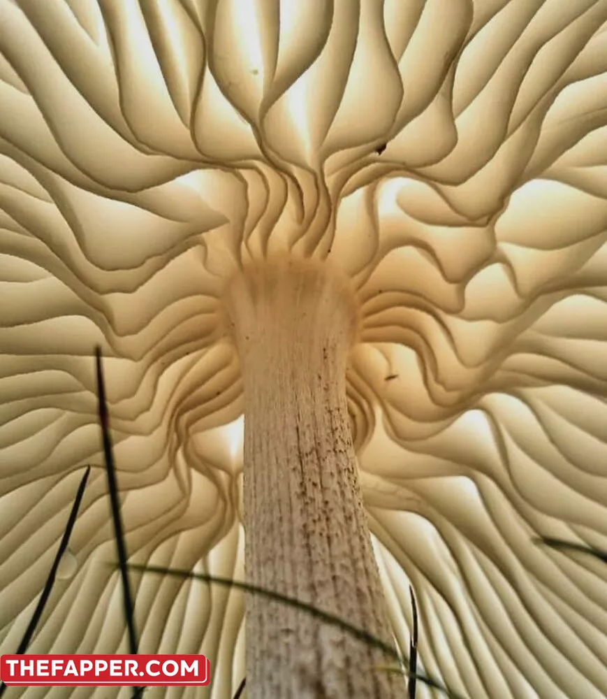 Emilie  Onlyfans Leaked Nude Image #7cJnD2ckpN