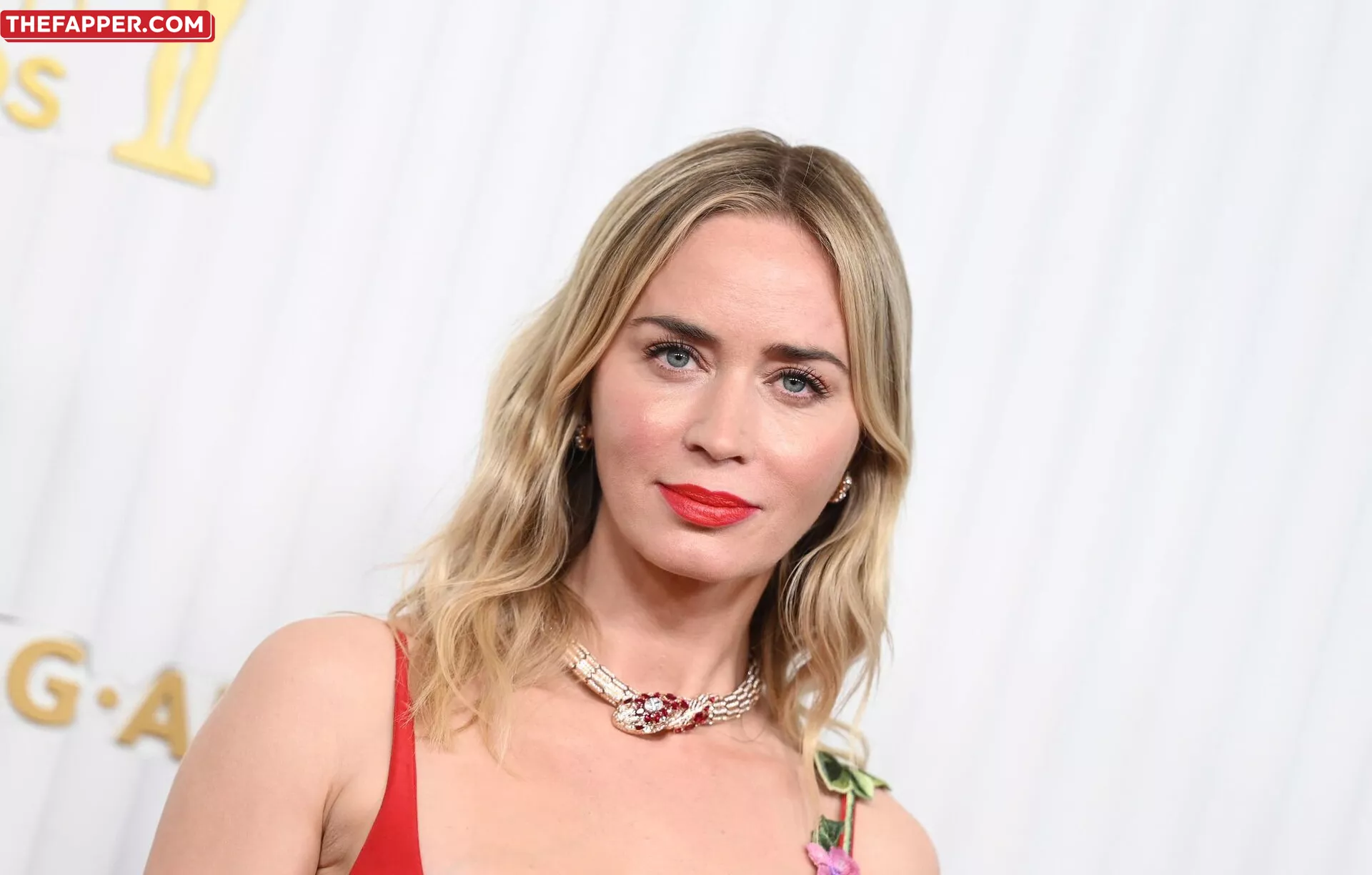 Emily Blunt  Onlyfans Leaked Nude Image #qijk42une3