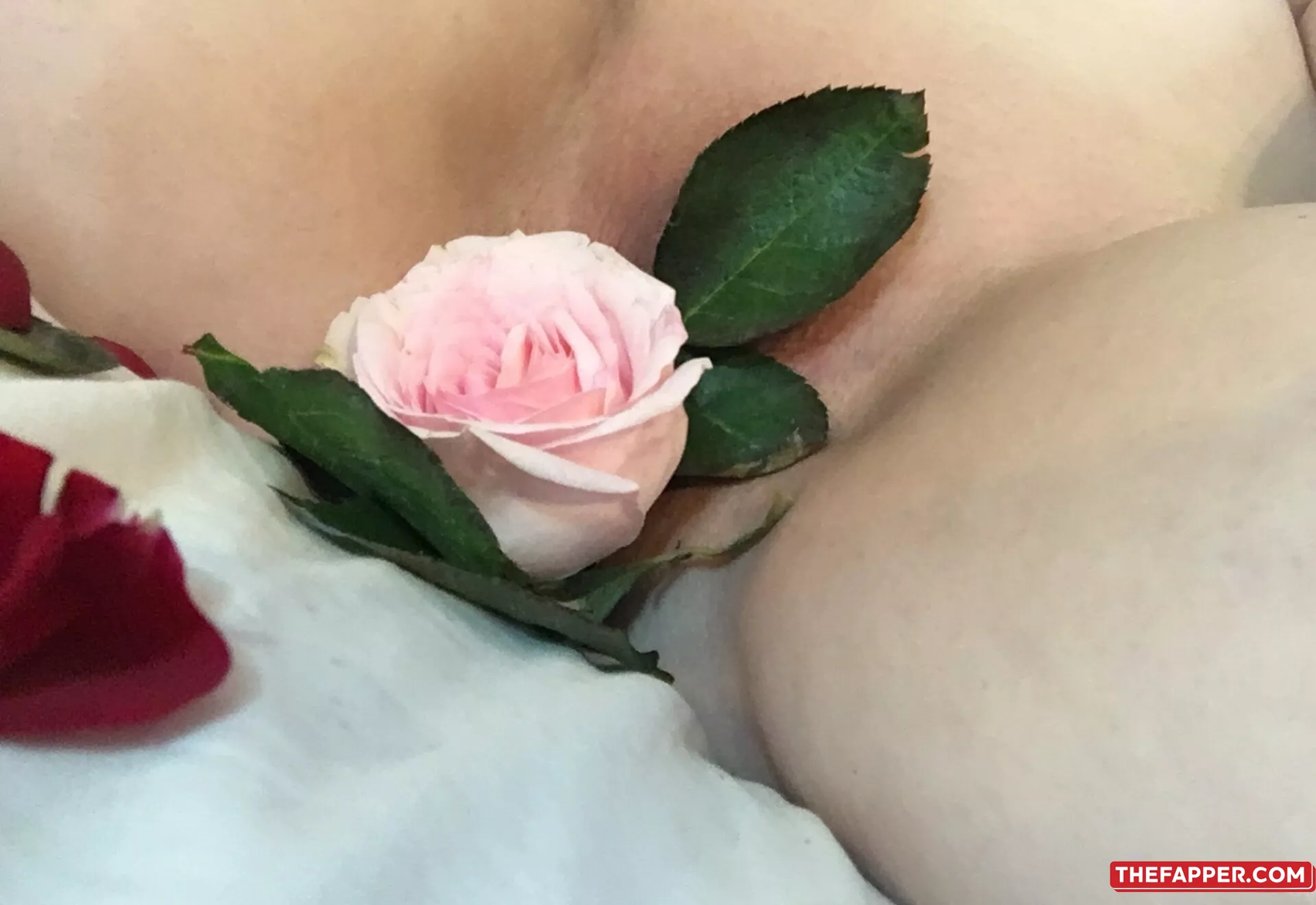 Empresselfiie  Onlyfans Leaked Nude Image #emEOz5rEk1