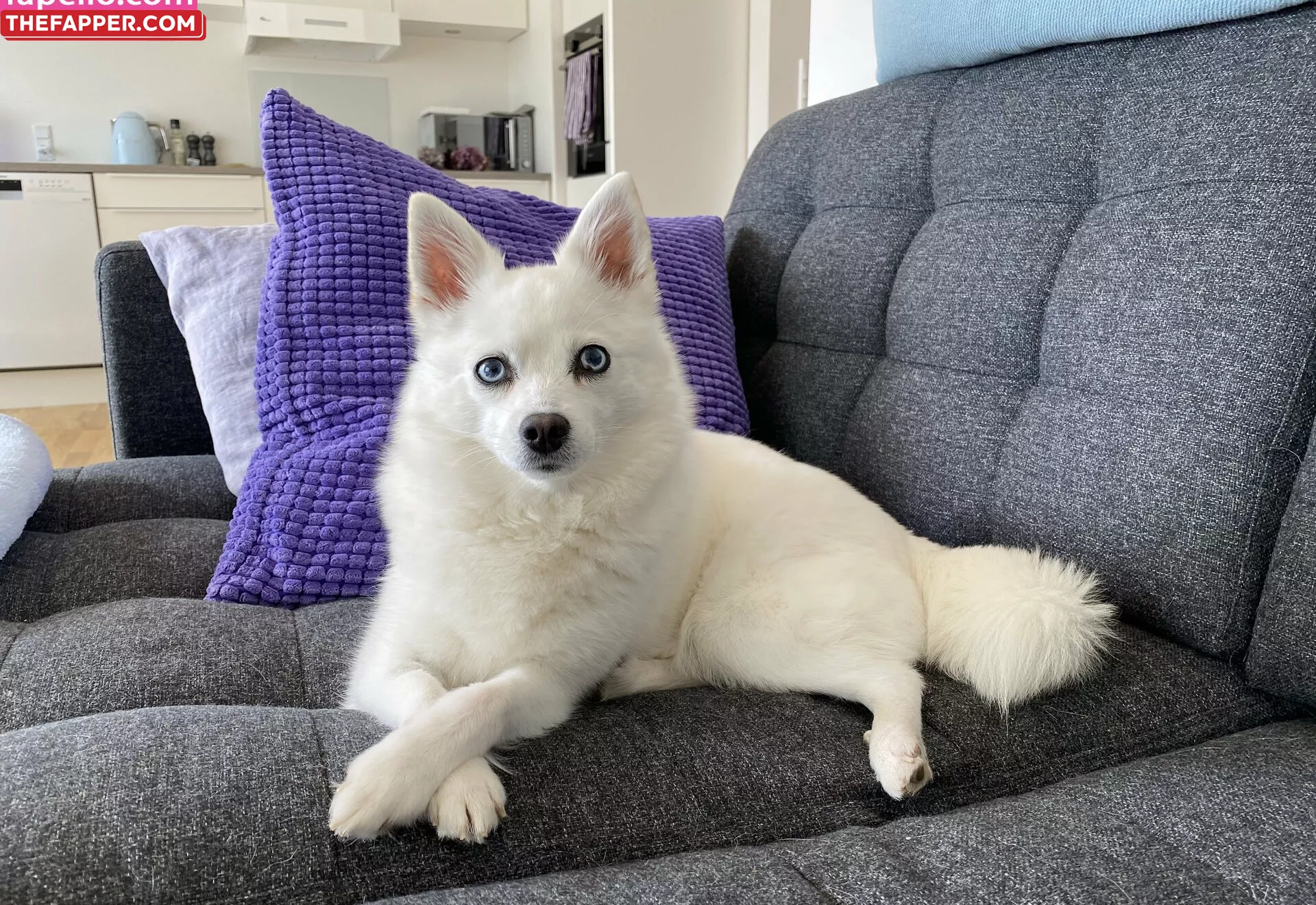 Freefrost  Onlyfans Leaked Nude Image #DsvyPCNtHo