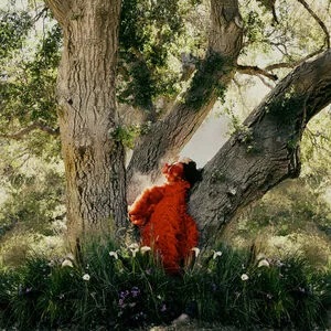 Hailee Steinfeld Onlyfans Leaked Nude Image #Ap7UJDCel6