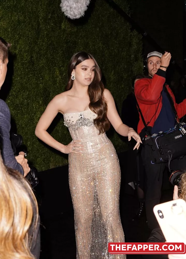 Hailee Steinfeld  Onlyfans Leaked Nude Image #RVIiU8yagC