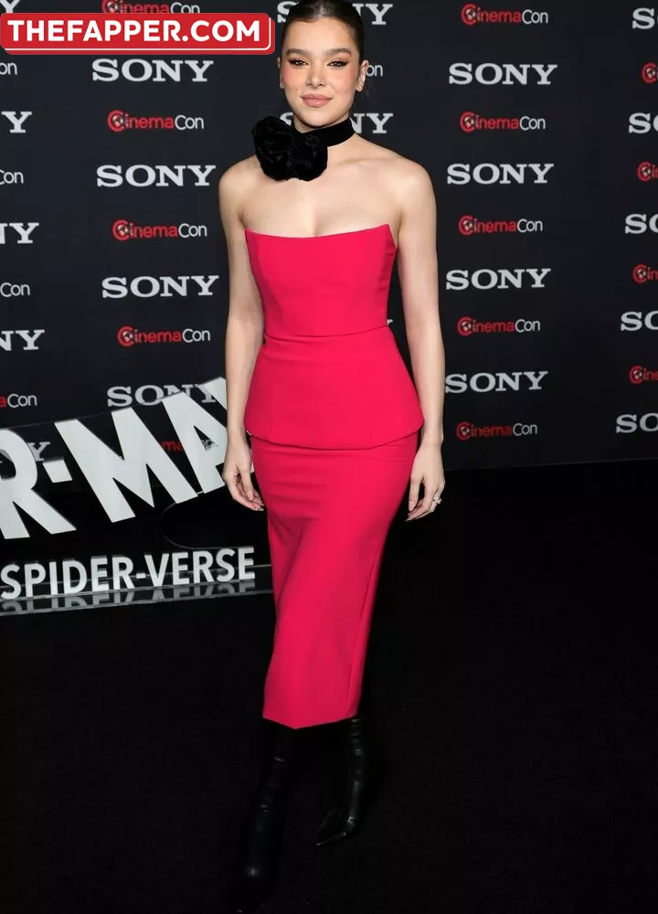 Hailee Steinfeld  Onlyfans Leaked Nude Image #YgpwCafLrE