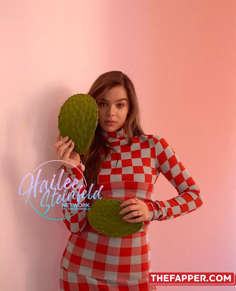 Hailee Steinfeld  Onlyfans Leaked Nude Image #bFtbrsW328