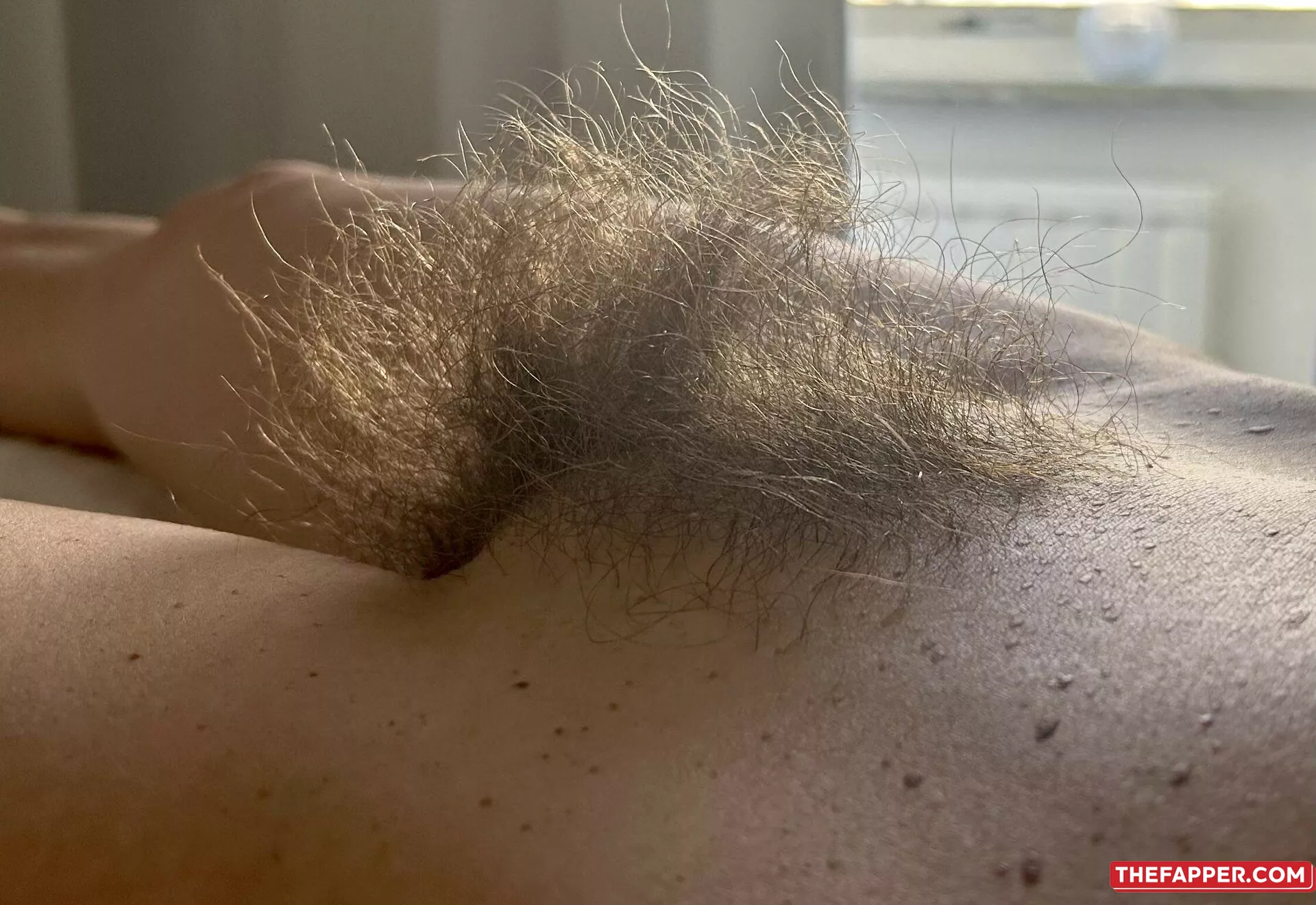 Hairy Women  Onlyfans Leaked Nude Image #EB6AB4L4kY