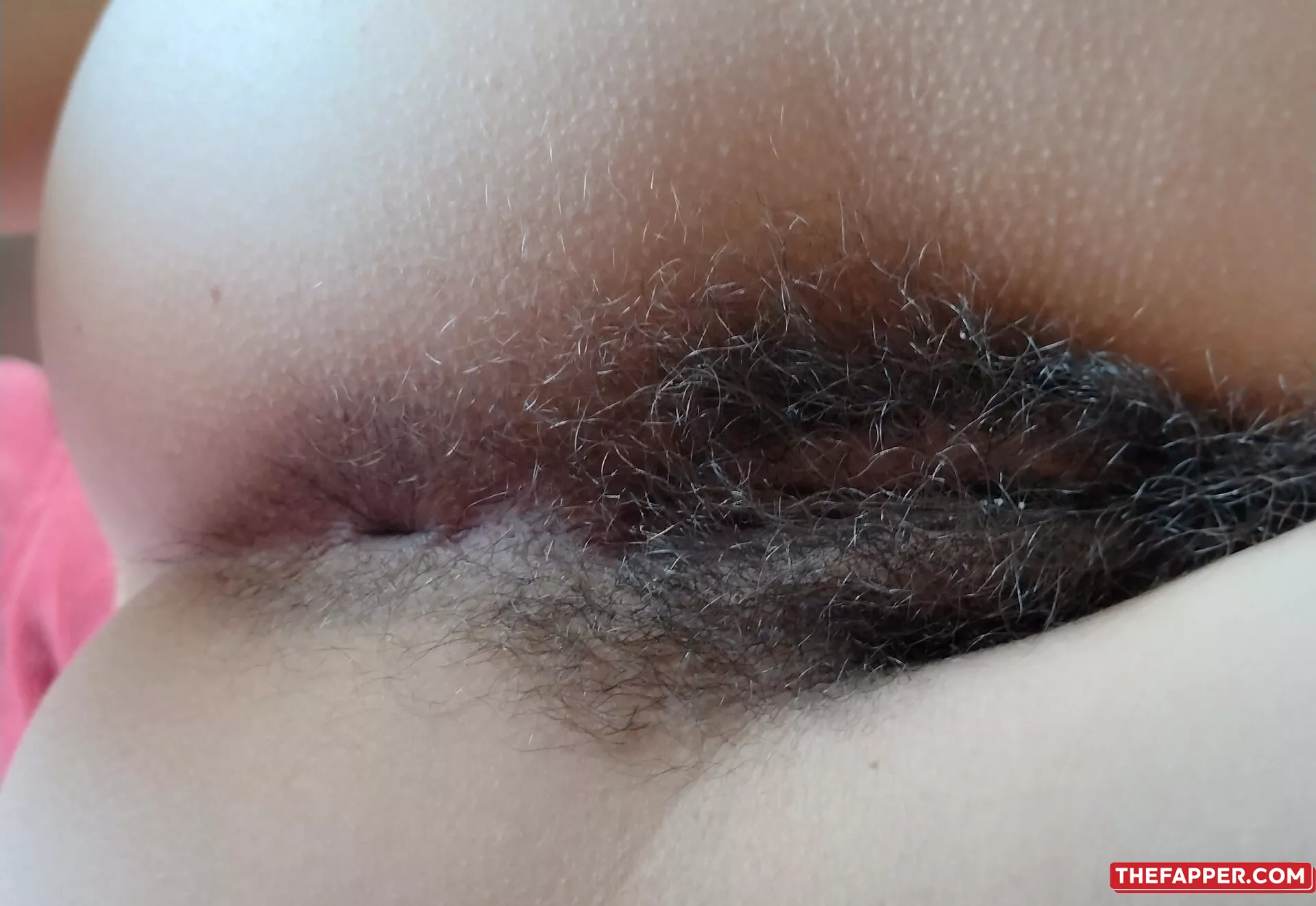 Hairyangela  Onlyfans Leaked Nude Image #Qbq9pZLznR