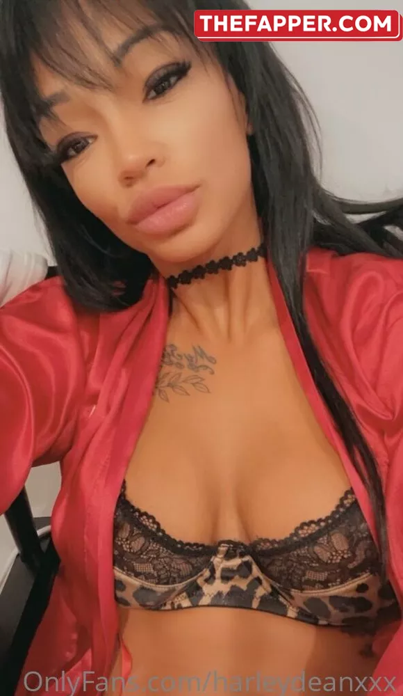 Harley Dean  Onlyfans Leaked Nude Image #KvZ70EPl9K