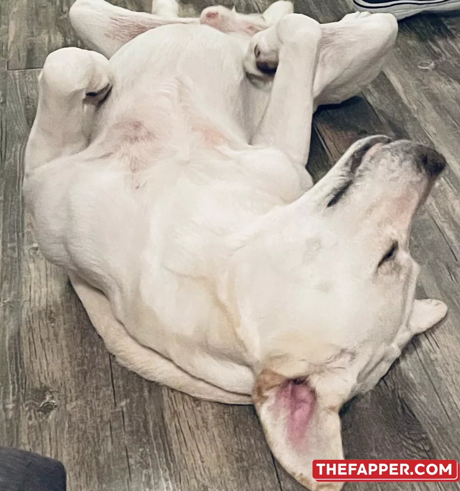 Im.over.covid  Onlyfans Leaked Nude Image #TifYGTzNV5