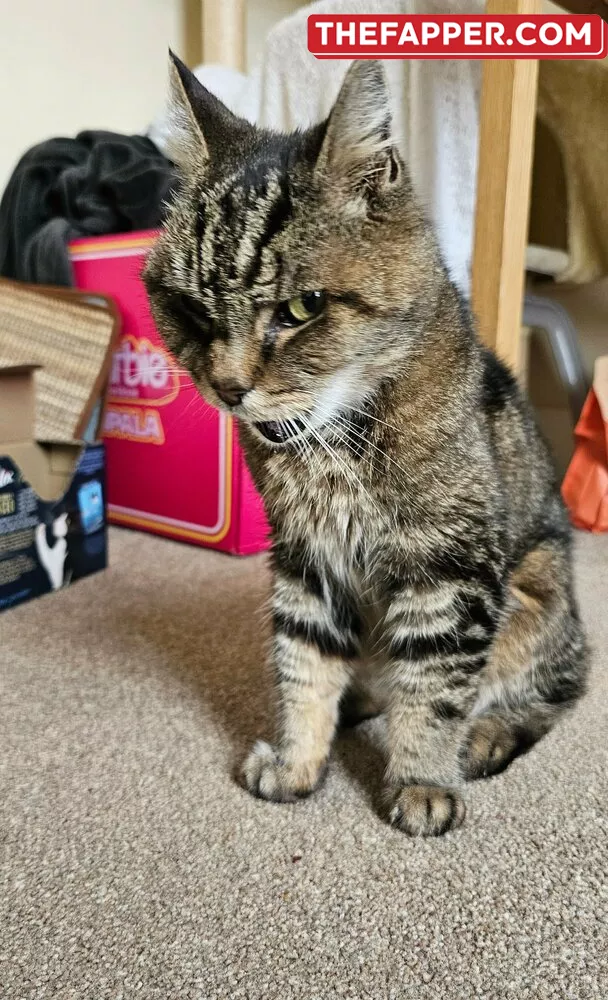 Kimmmmmmm  Onlyfans Leaked Nude Image #7pTWY3kRtt