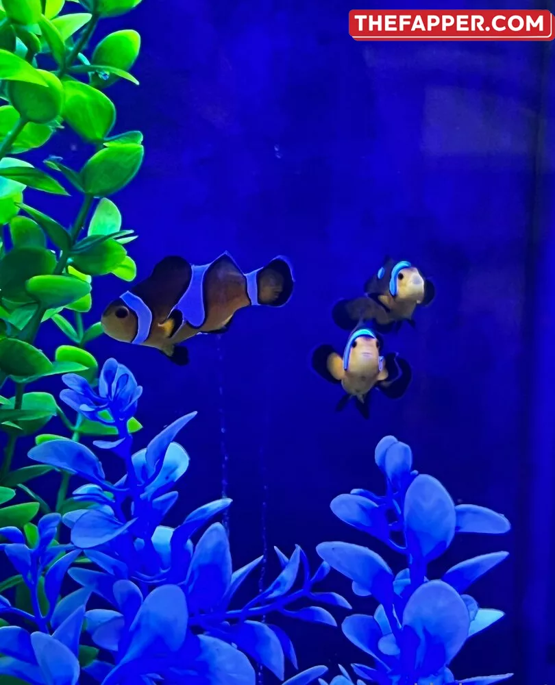 Kiwisunset  Onlyfans Leaked Nude Image #08kAAuM9zO