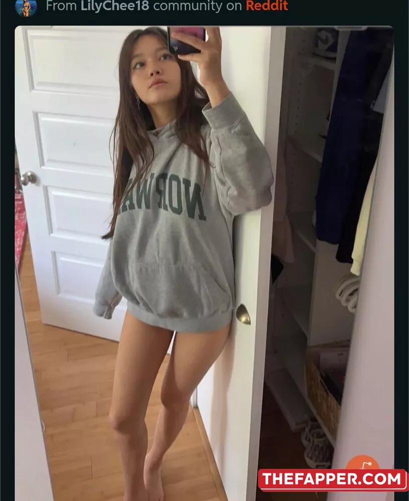 Lily Chee  Onlyfans Leaked Nude Image #NlODcBGOTu