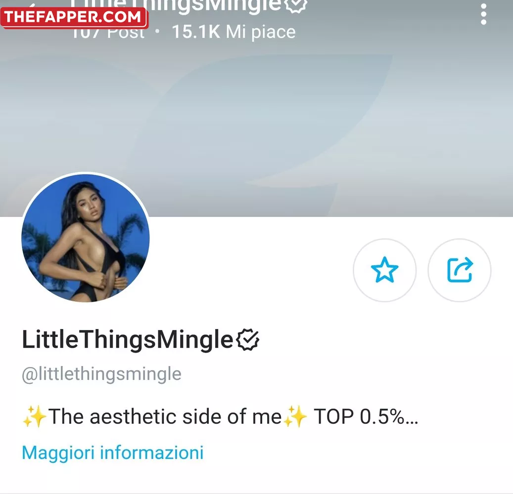 Littlethingsmingle  Onlyfans Leaked Nude Image #m669lEhFFc