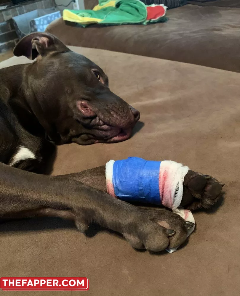 Lulu Chu  Onlyfans Leaked Nude Image #q84g34fYT6