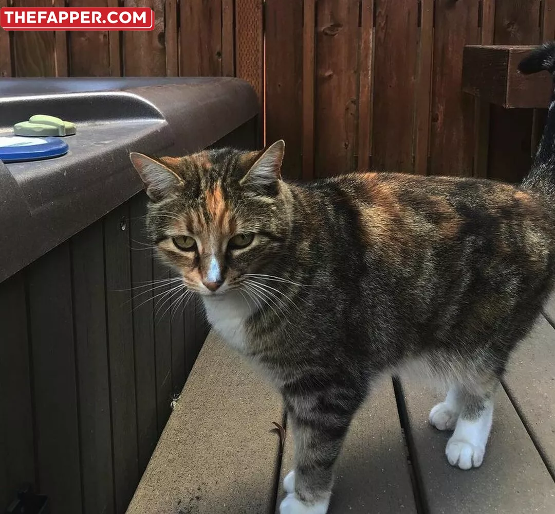 Makayla  Onlyfans Leaked Nude Image #dByjGfKryC