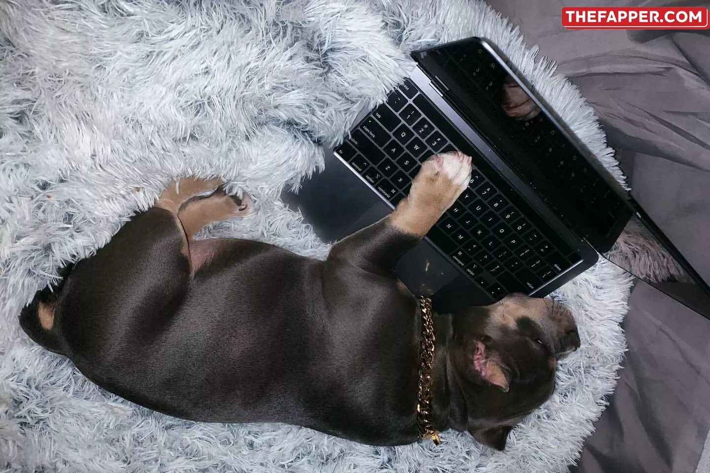 Maryalicejenni  Onlyfans Leaked Nude Image #wWbHSzhG1q