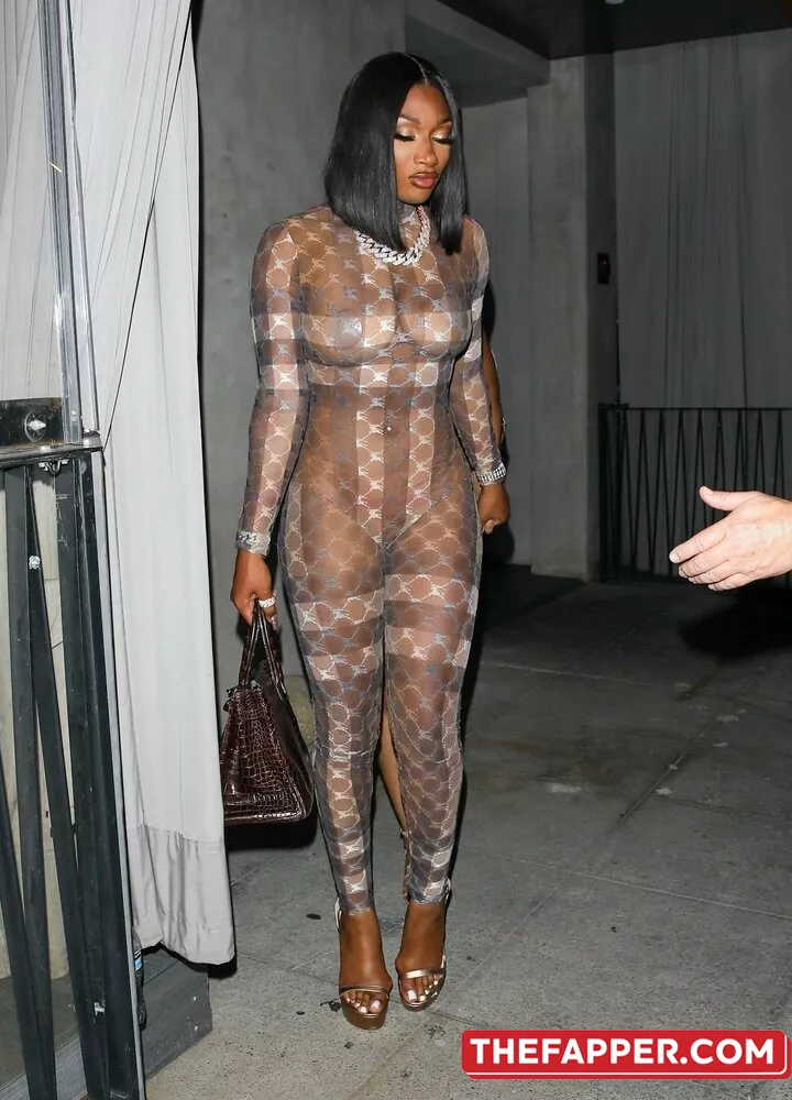 Megan Thee Stallion  Onlyfans Leaked Nude Image #28R3ANysvg