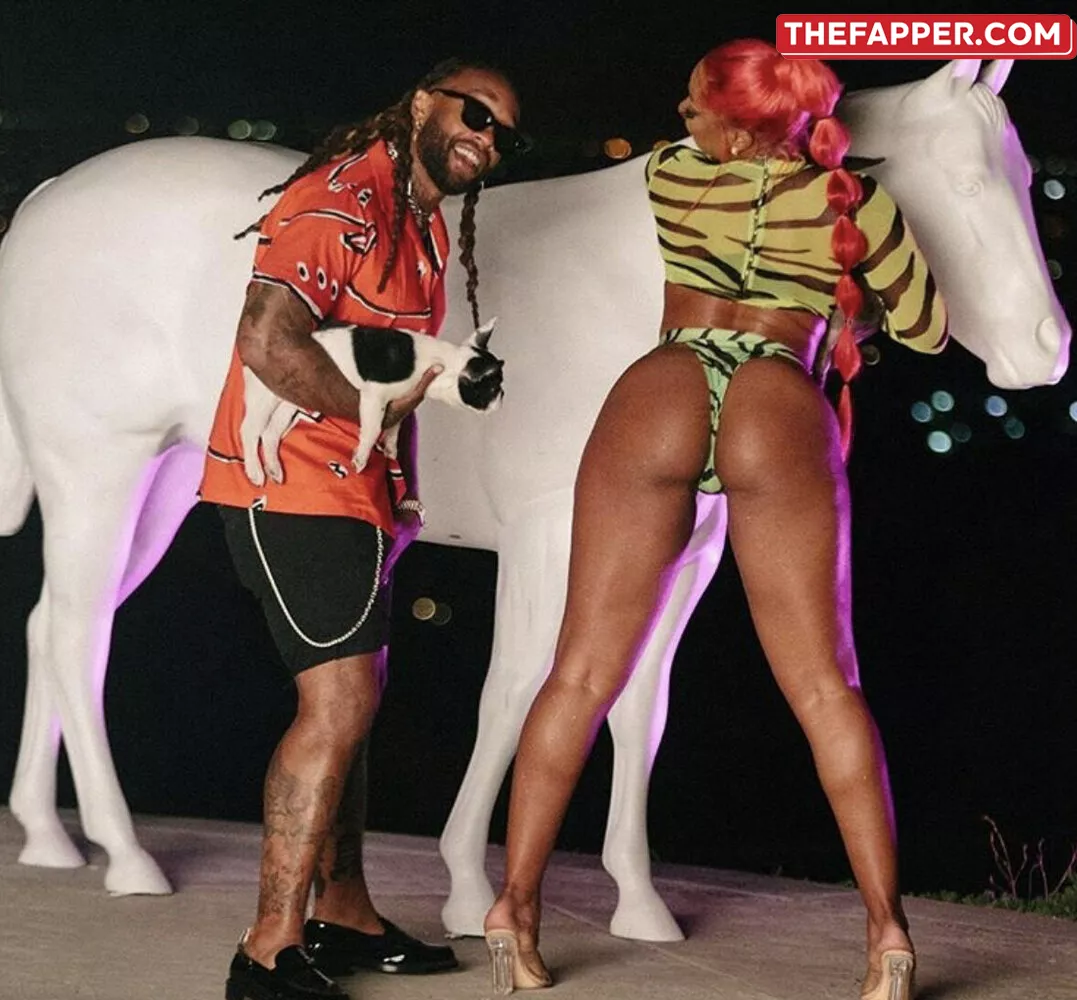 Megan Thee Stallion  Onlyfans Leaked Nude Image #LRydE4iGWC