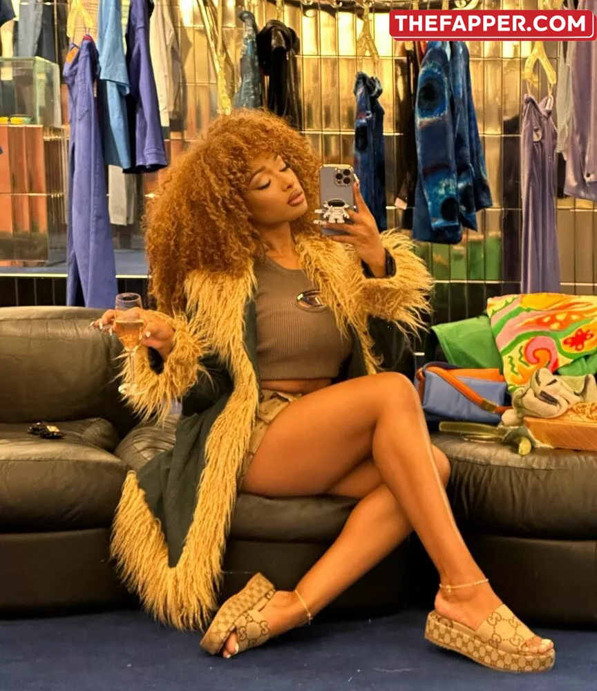 Megan Thee Stallion  Onlyfans Leaked Nude Image #Mfr7VBMRYa