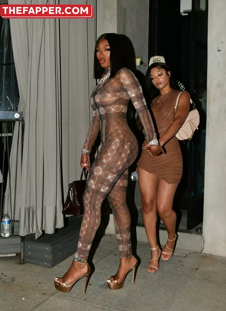 Megan Thee Stallion  Onlyfans Leaked Nude Image #SJjAmzNq80