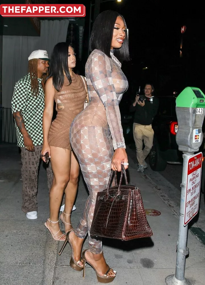 Megan Thee Stallion  Onlyfans Leaked Nude Image #WicOHqxtuG