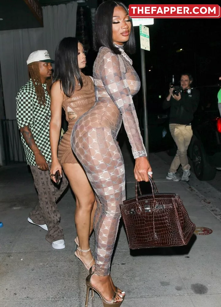 Megan Thee Stallion  Onlyfans Leaked Nude Image #WrBQrXkcri
