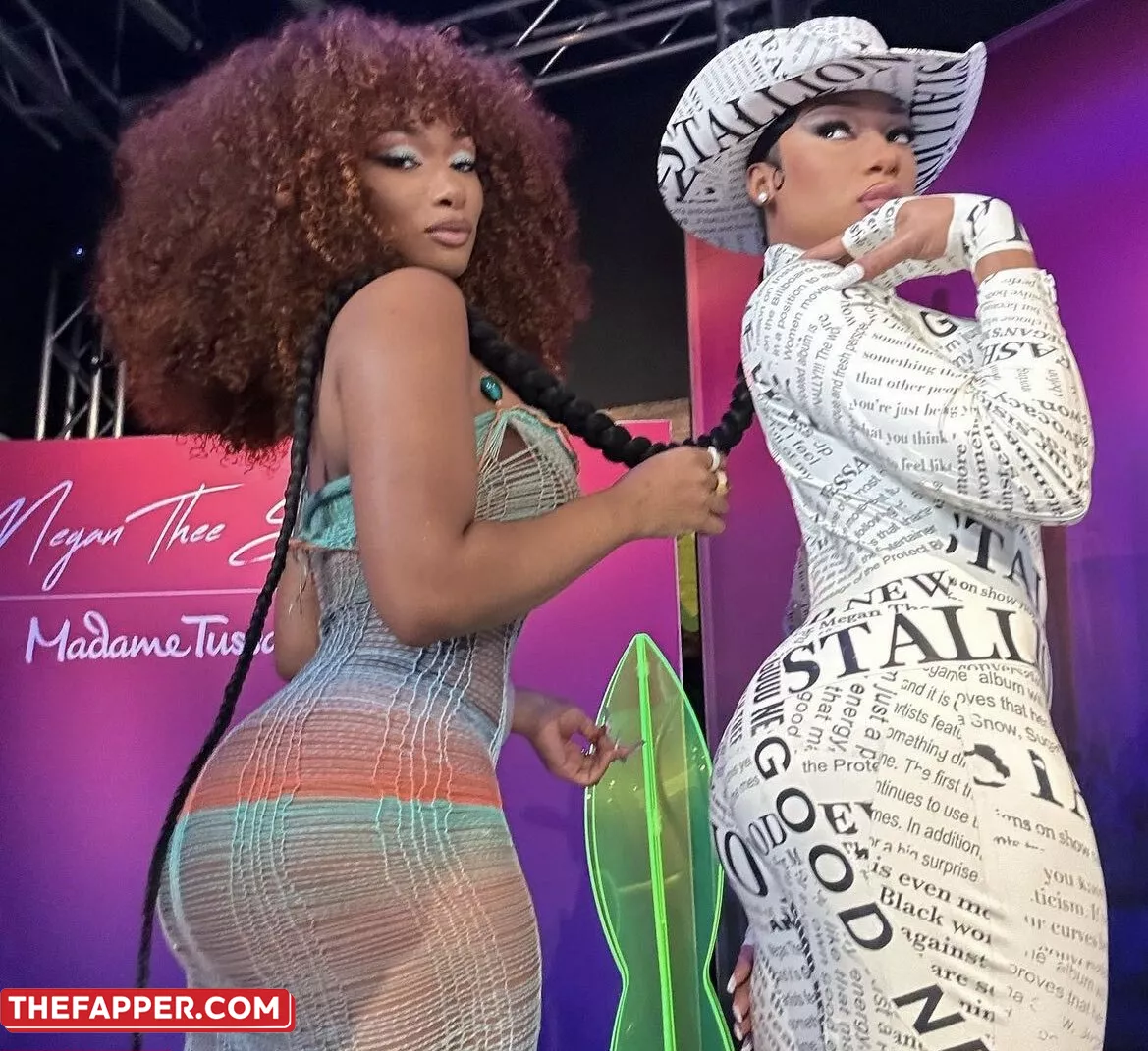 Megan Thee Stallion  Onlyfans Leaked Nude Image #YuNbdtj136