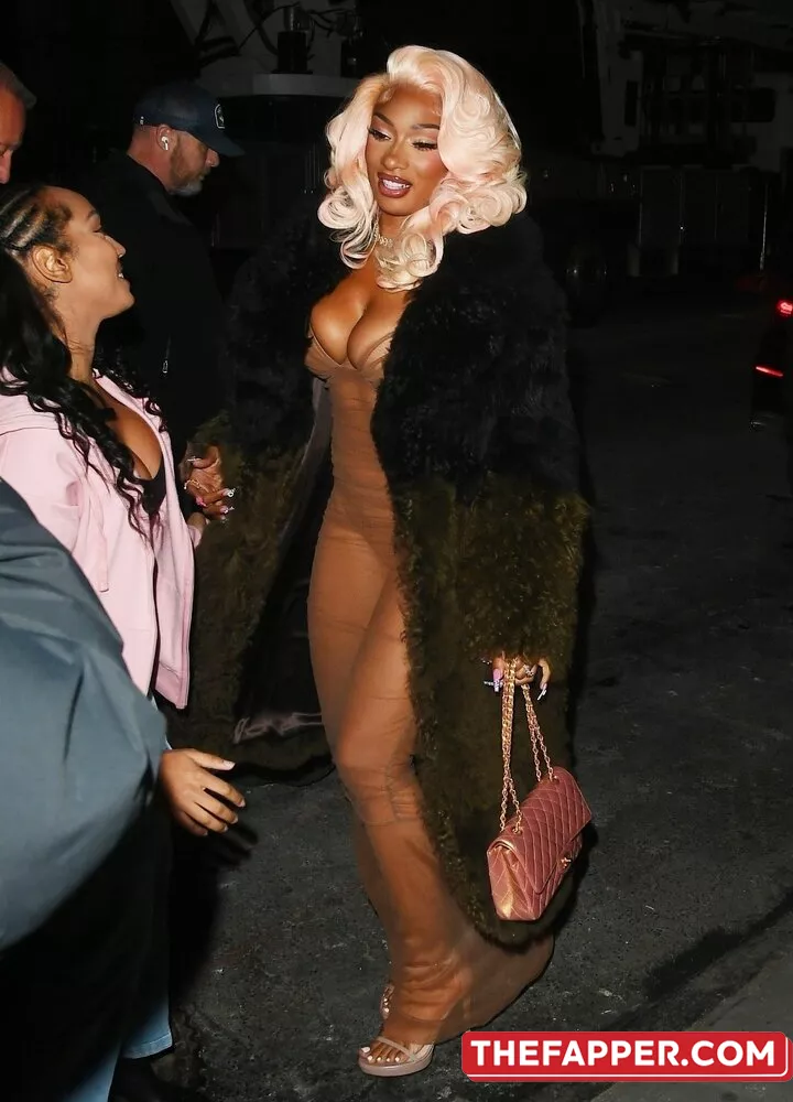 Megan Thee Stallion  Onlyfans Leaked Nude Image #cdlehHrXOA