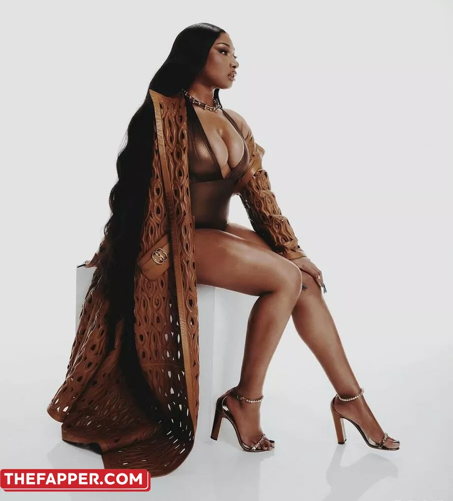 Megan Thee Stallion  Onlyfans Leaked Nude Image #cmwexMyM32