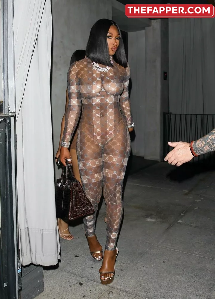 Megan Thee Stallion  Onlyfans Leaked Nude Image #eBsNoXdi3d