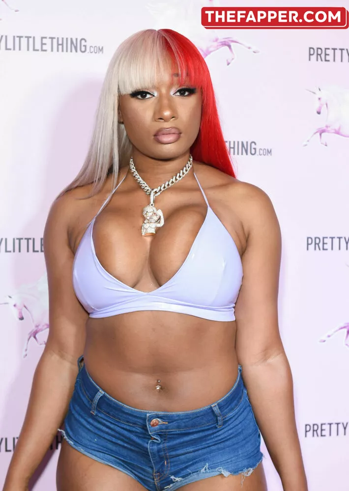 Megan Thee Stallion  Onlyfans Leaked Nude Image #mzSXUwQBEE