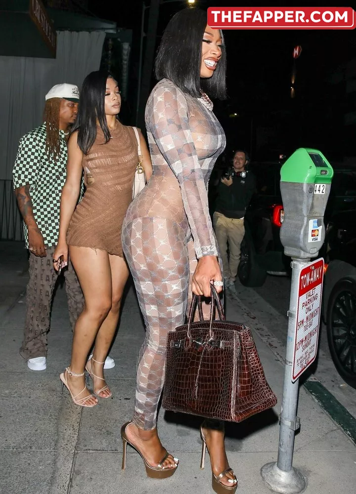 Megan Thee Stallion  Onlyfans Leaked Nude Image #pFpj5zW6ZE