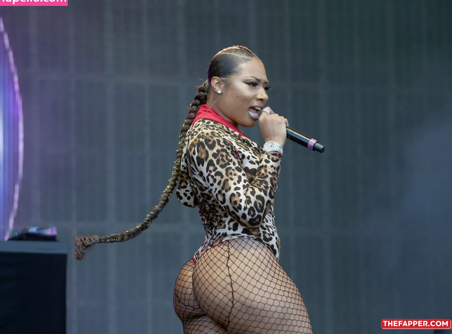 Megan Thee Stallion  Onlyfans Leaked Nude Image #qV7csbDZrv