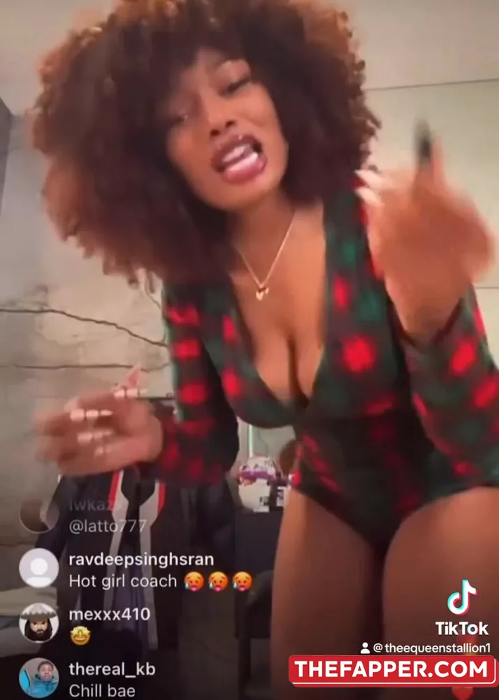 Megan Thee Stallion  Onlyfans Leaked Nude Image #ql4jS9aHdS