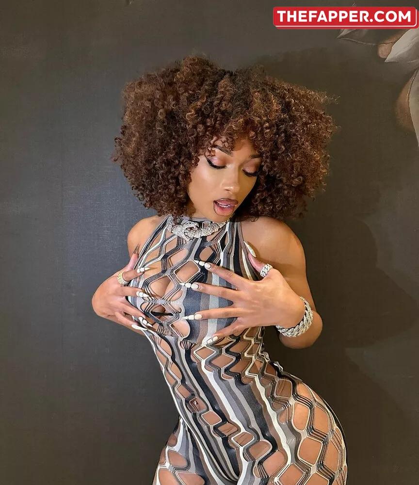 Megan Thee Stallion  Onlyfans Leaked Nude Image #rZitKHrFuR