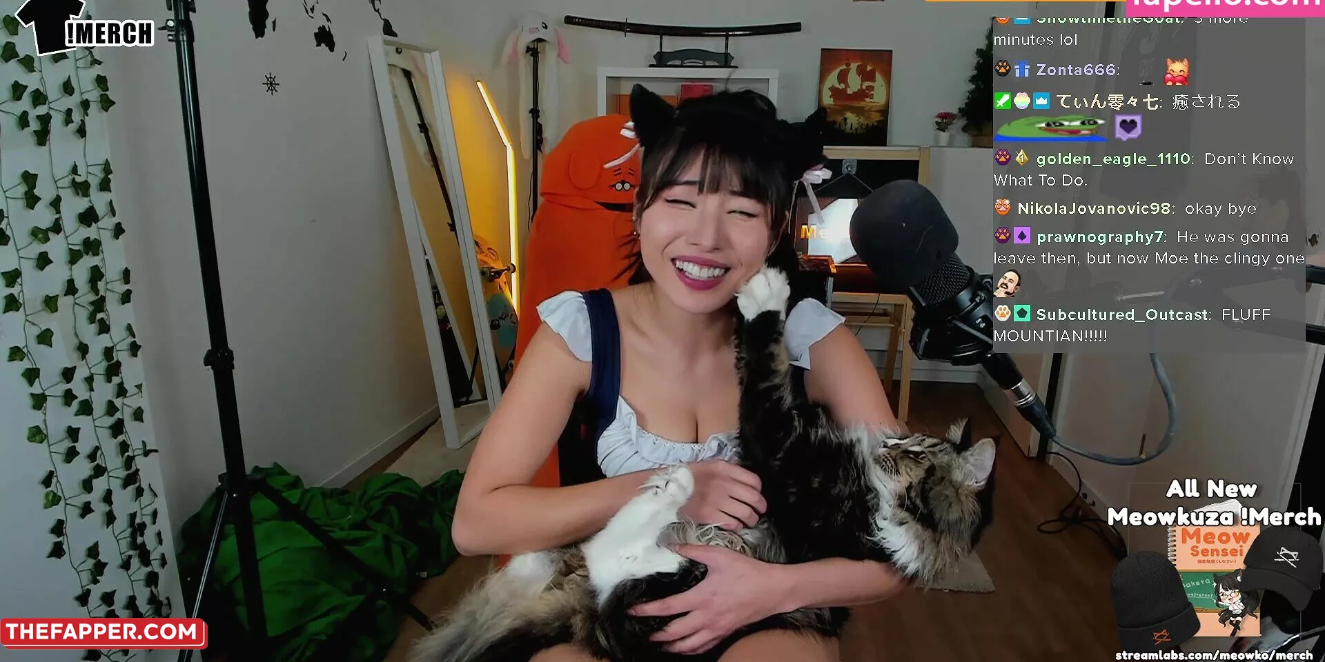 Meowko  Onlyfans Leaked Nude Image #NxazuA03Mw