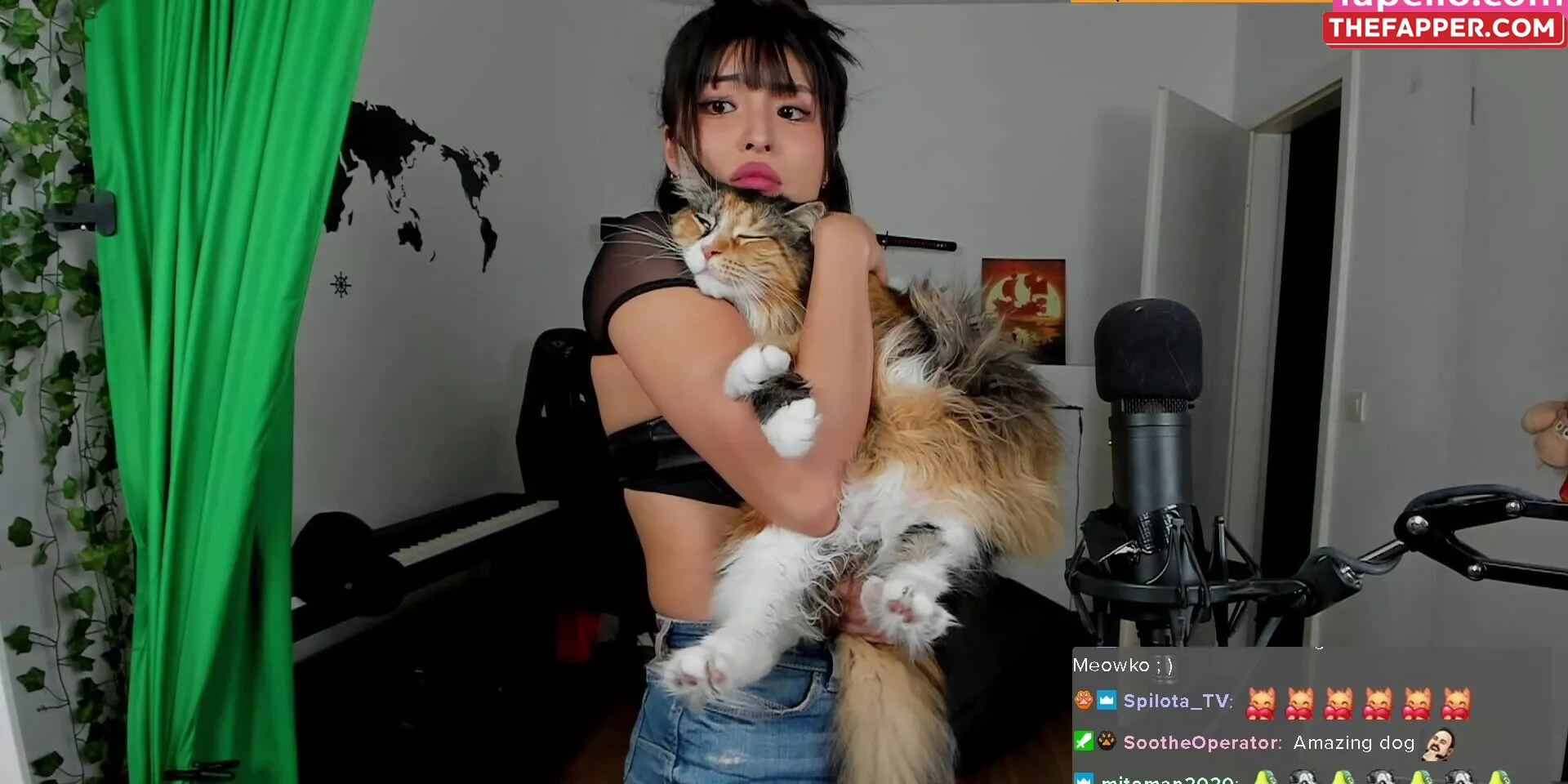 Meowko  Onlyfans Leaked Nude Image #eHVTfvESEe