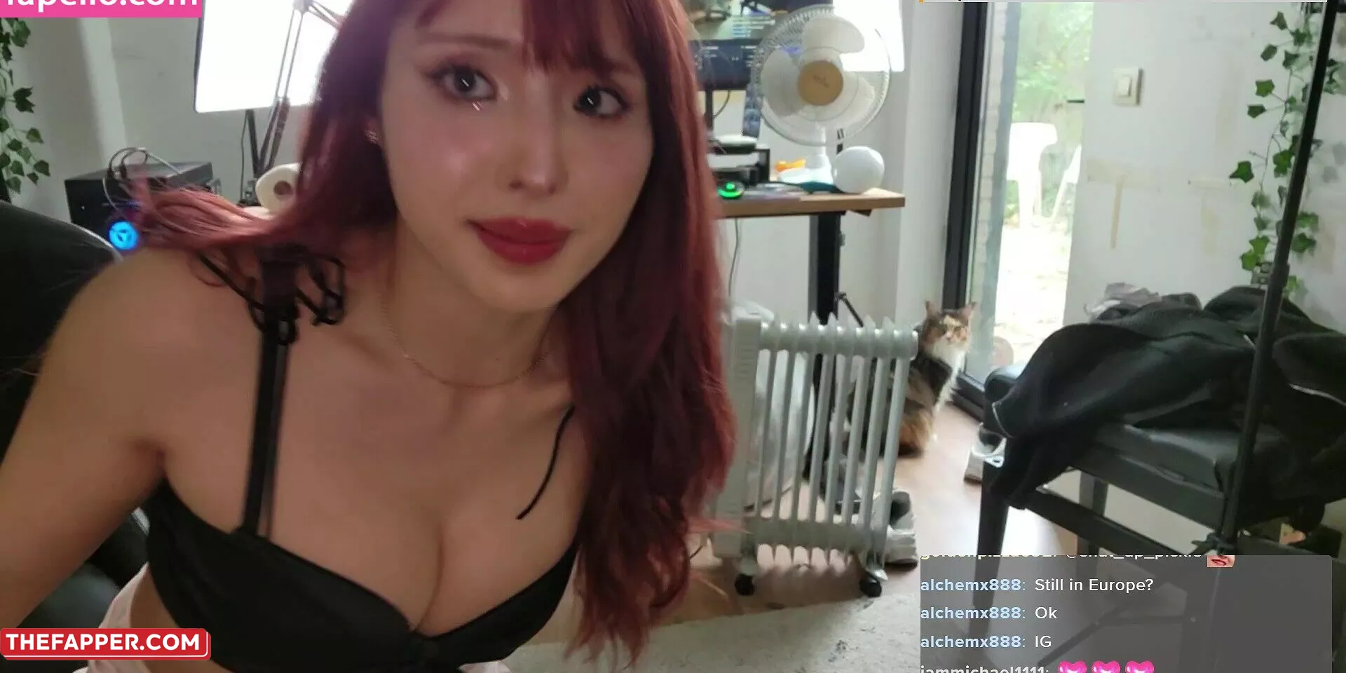 Meowko  Onlyfans Leaked Nude Image #fQM9i0gJRp