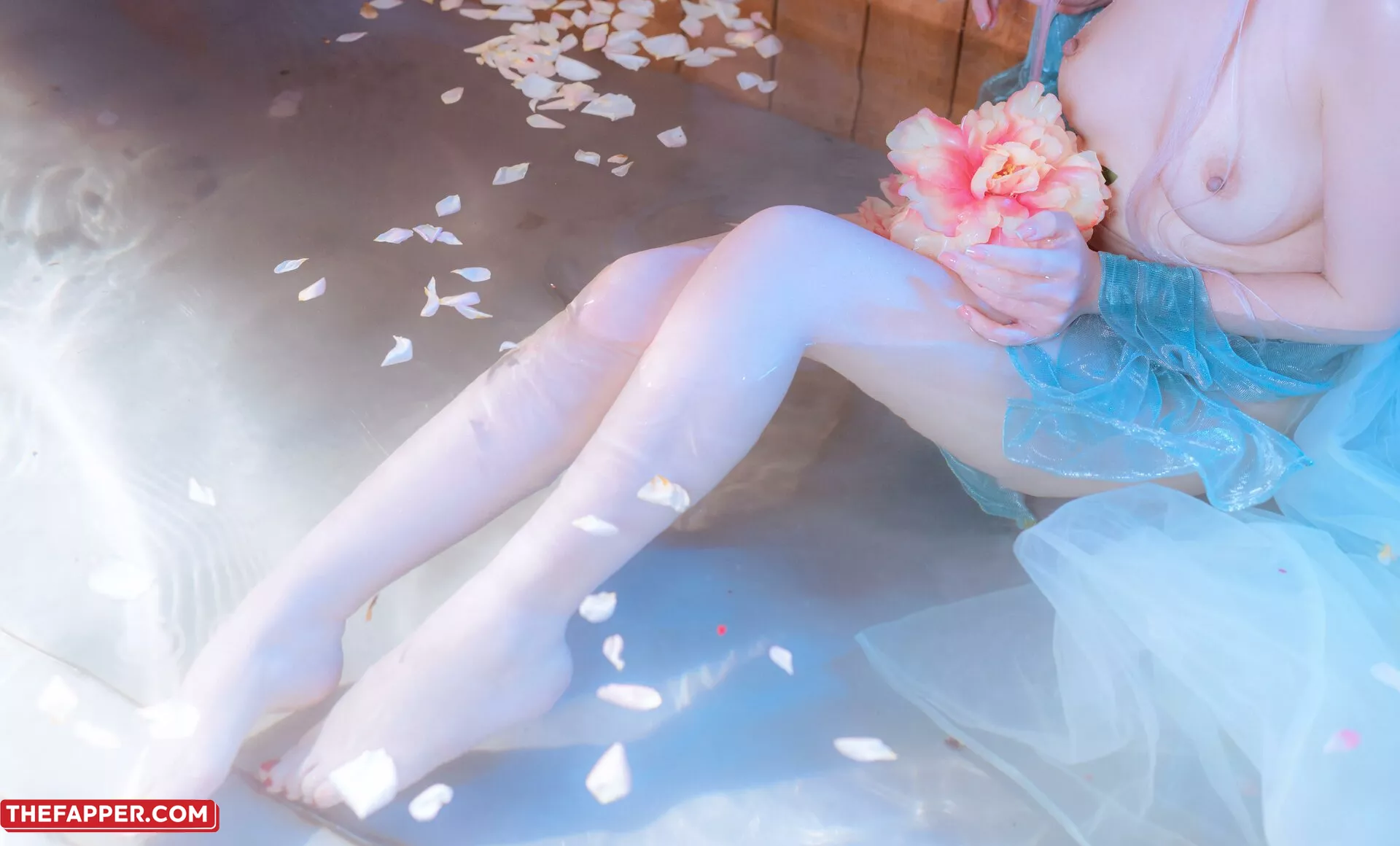 Nekokoyoshi  Onlyfans Leaked Nude Image #kZGYvuDwce