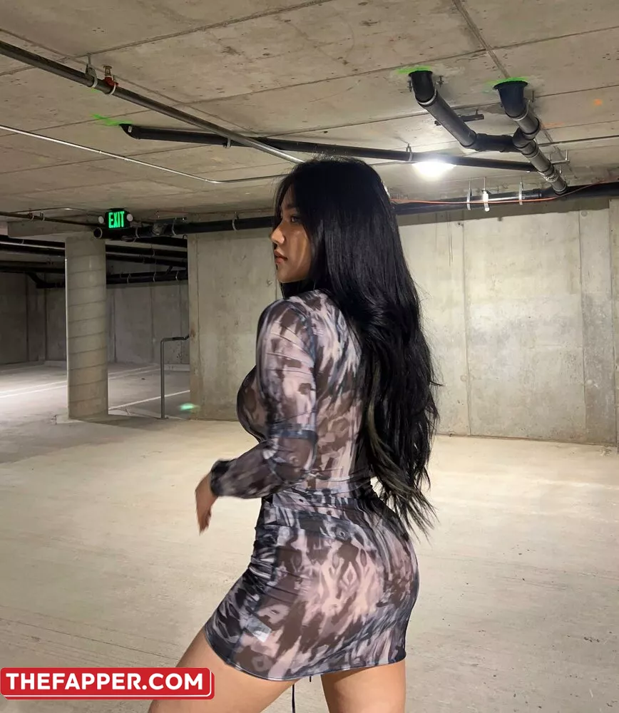 Ngan Nguyen  Onlyfans Leaked Nude Image #1HKgFzMsTs