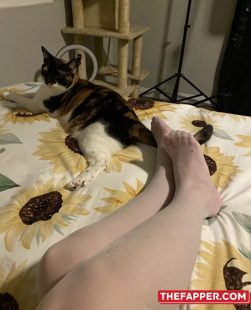 Pantyhose_princess99  Onlyfans Leaked Nude Image #CXVMnQSUUy