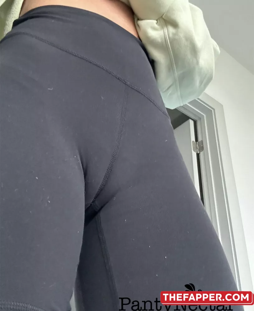 Pantynectar  Onlyfans Leaked Nude Image #x2FunzCoFN