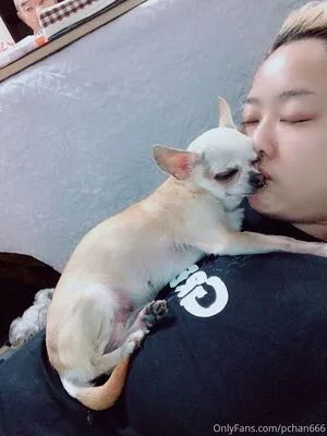 Pchan666 Onlyfans Leaked Nude Image #5auVWdIVMC