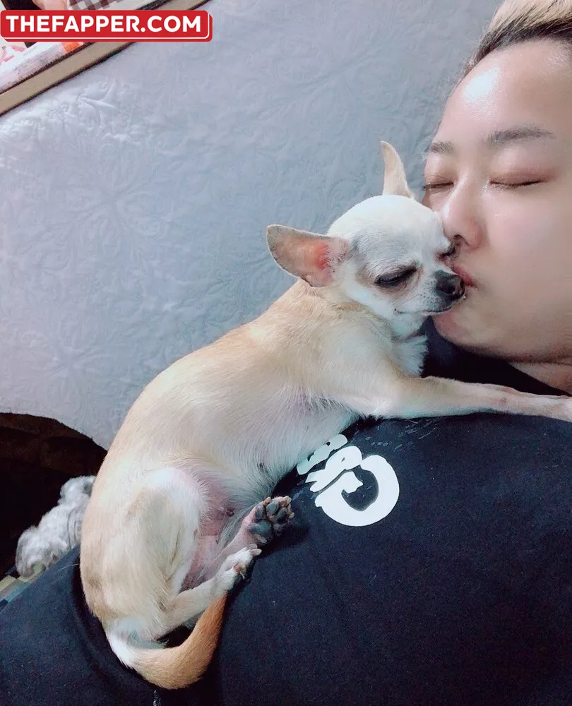 Pchan666  Onlyfans Leaked Nude Image #5auVWdIVMC