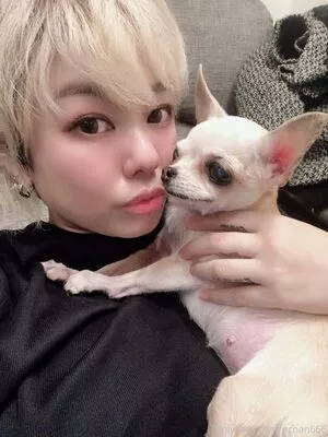 Pchan666 Onlyfans Leaked Nude Image #xOiihs33KW