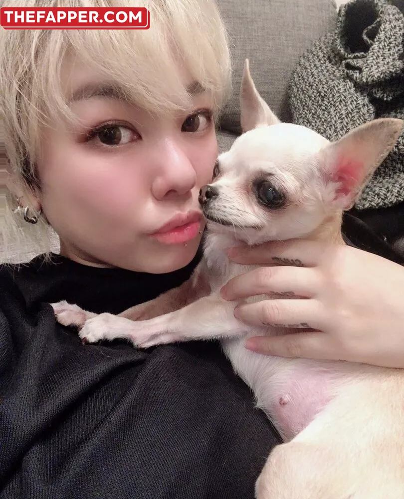 Pchan666  Onlyfans Leaked Nude Image #xOiihs33KW