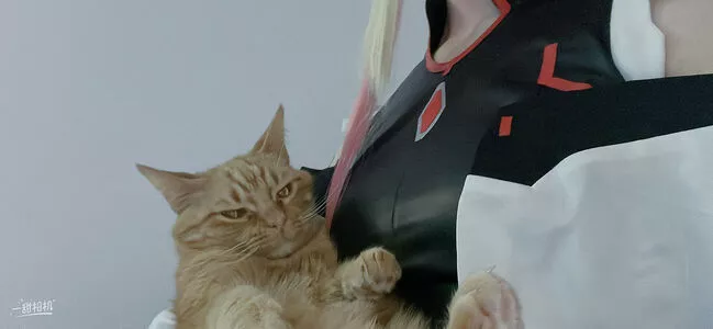 Reitoozaru Onlyfans Leaked Nude Image #80EYt7o969